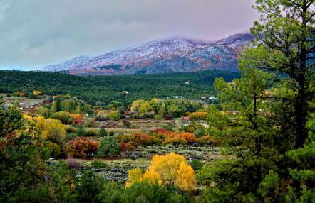 Taos Goji Farm & Eco-Lodge Retreat - Foto 34