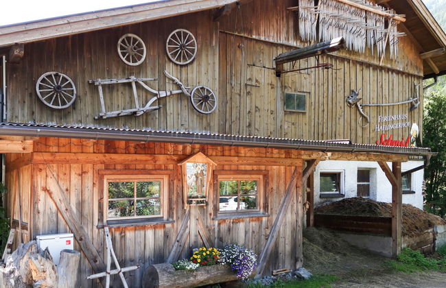 Haflingerhof Enzian - Foto 15