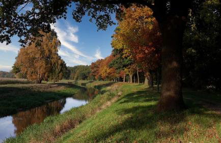 FeWo Grafschaft - Foto 37