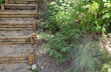 Herdade Clube Tiro Monfortinho - Foto 33