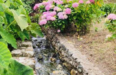 Moinho do Avô - Foto 6