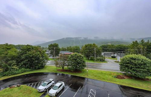 Lincoln Condo with slope view - Foto 28