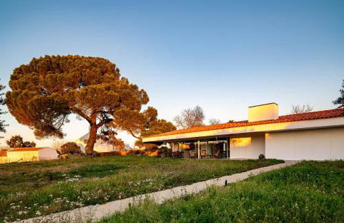 Villa do Pinheiro - Foto 48