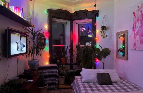 Unique Brooklyn Brownstone Studio Bedstuy - Foto 1