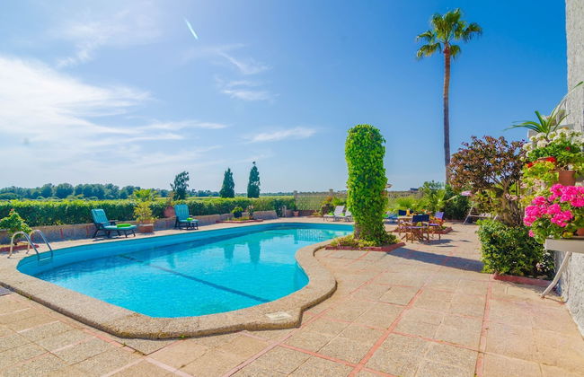 Torre Marina in Campos - Foto 3