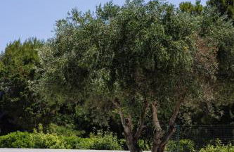 Villa Agua - Foto 22