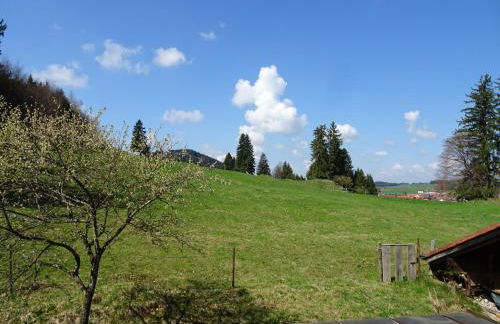 Villa im Wald - Photo 34