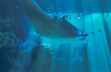 La maison du Pêcheur - Foto 53