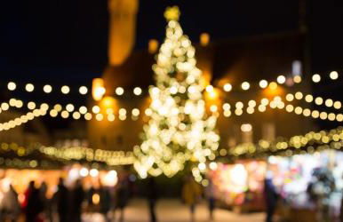 Das Strandhaus, bis zu 8 Personen, mit Garten, 250 Meter fussläufig zum See - Foto 61