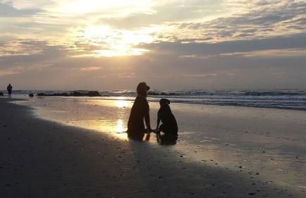 Folly Vacation Beautiful Beach Cottage 209-A - Foto 36