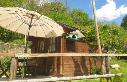 Casa Patty - Liariis of Ovaro CARNIA - Foto 14