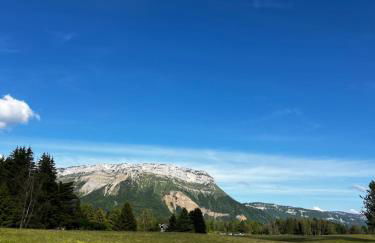 Studio aux pieds des pistes, des chemins de Rando - Foto 18