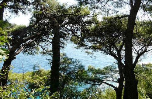 Family home away on the beach, free parking at the house - Foto 52