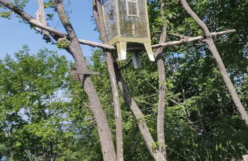 Casa Francesca a 2,5 km da Iseo - Foto 25