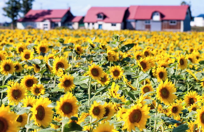 PRIMAL 2002 - Photo 53