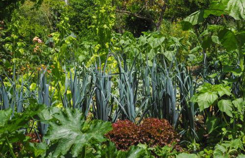 Casa de Pereiró - Foto 35