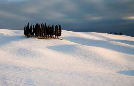 Agriturismo Poggio Tobruk - Foto 11