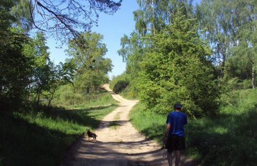 Noclegi u Gosi Mosty koło Gdyni - Foto 49
