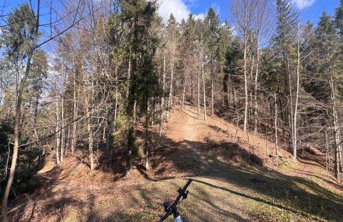 Mały Tiny Domek w górach z kominkiem , Piwniczna-Zdrój - Foto 19