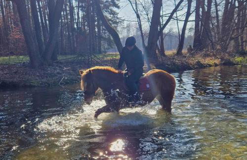 Samsara - Prawdziwa Agroturystyka - Photo 43