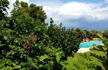 Terre Di Vendicari - Photo 29