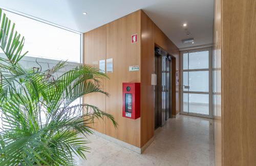 Akicity Jamor Lyra - Photo 39