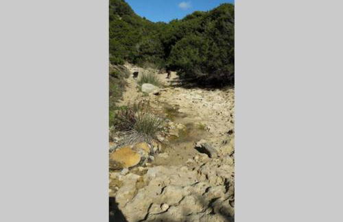 La casa di Dedda I.U.N. Q4233 - Foto 23