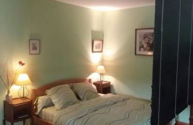 Studio 45m2, à la campagne, à 15 mns du Puy en Velay - Foto 7