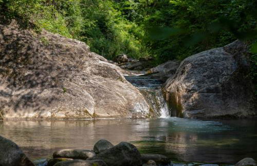 Il Mulino della Cupolina - Foto 21