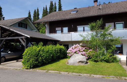 Jules Traum im Schwarzwald - Foto 4