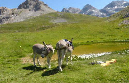 Chalet Refuge Loup Blanc Valfréjus - Foto 41
