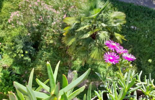 Apartment Pinia with free parking - Photo 23