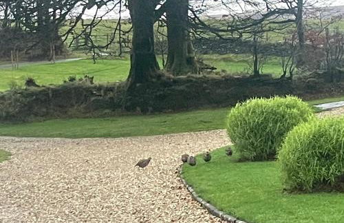 Winstitchen Cottage situated near the River Barle - Foto 42