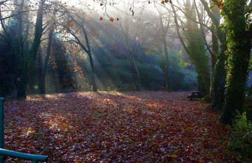 Le Moulin Neuf - Photo 21