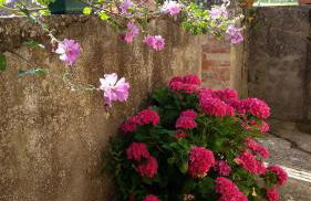 Agriturismo Torrenieri da Alessandro - Foto 22