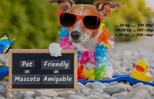 Aparthotel Safari - Foto 9