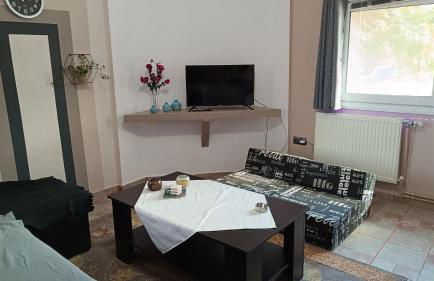 apartment to nature B - Photo 5