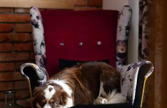 APARTAMENTY U HARREGO BOUTIQUE SPA masaże, sauna, tężnia solankowa , balkon , taras , klimatyzacja , parking - Foto 37