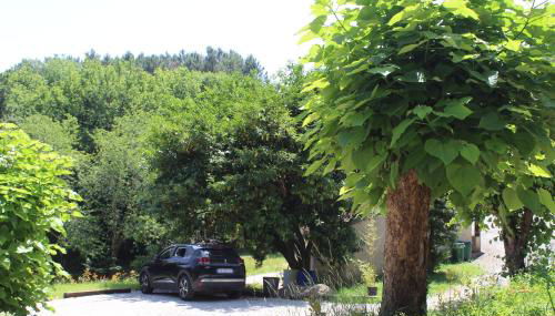 SIBO GITE en Périgord - Foto 5, Garden