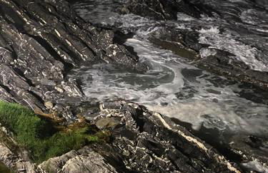 La via al mare - Portofino in battello da Nervi - Foto 29