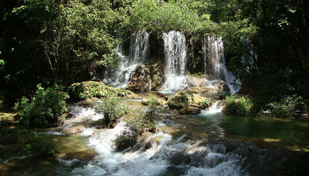 Balsismo y senderismo en la Ciudad Perdida desde Palenque - Foto 3