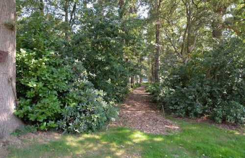 Ruheoase am Wald 35651 - Photo 8