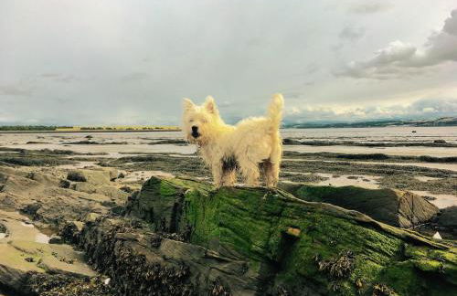 A 2 Bedroom flat in Culross home of Outlander - Foto 43