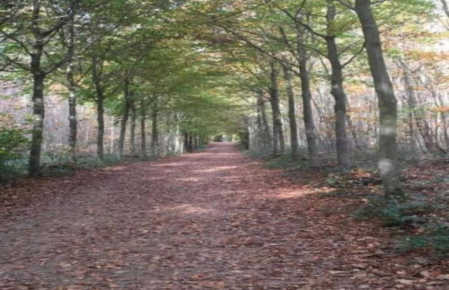 Walk to Pointe du Raz & Beach - Foto 41