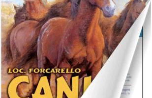 Shanti - Mare, Lago di Bolsena, Terme di Vulci - Foto 26