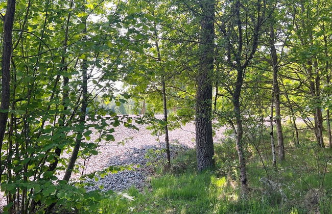 4 Person Holiday Home in Annestad-by Traum - Foto 21