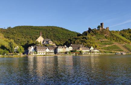 Ferienhaus Moselpanorama - Foto 8