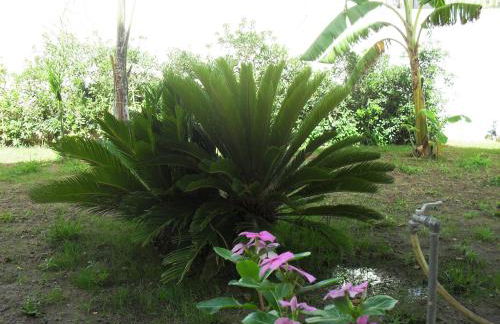 La Casa sul Mare - Foto 74