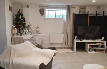 Les châtillonnes 25 minutes du zoo de beauval - Foto 32