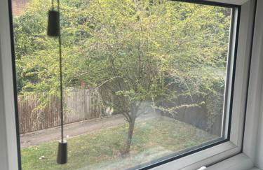 Room at Wallington Green room for professionals, near station, 30 min to London Bridge, 27 min to LDN Victoria - Foto 17